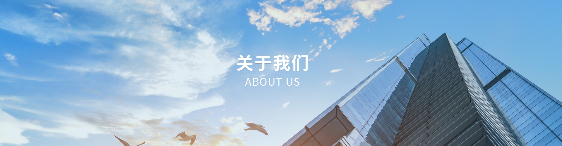 关于公司